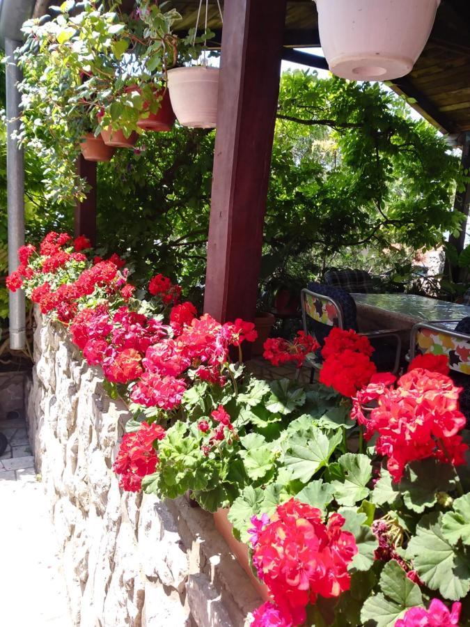 Guest House Djurdjica Dramalj Dış mekan fotoğraf